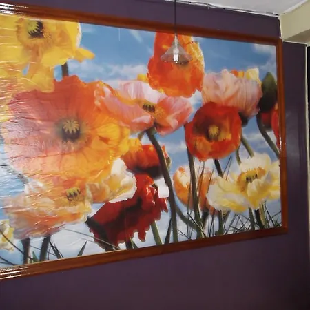 Colonia * Μοτρίλ